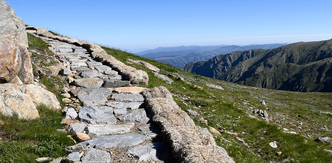 The Main Range Track with views to the distance.