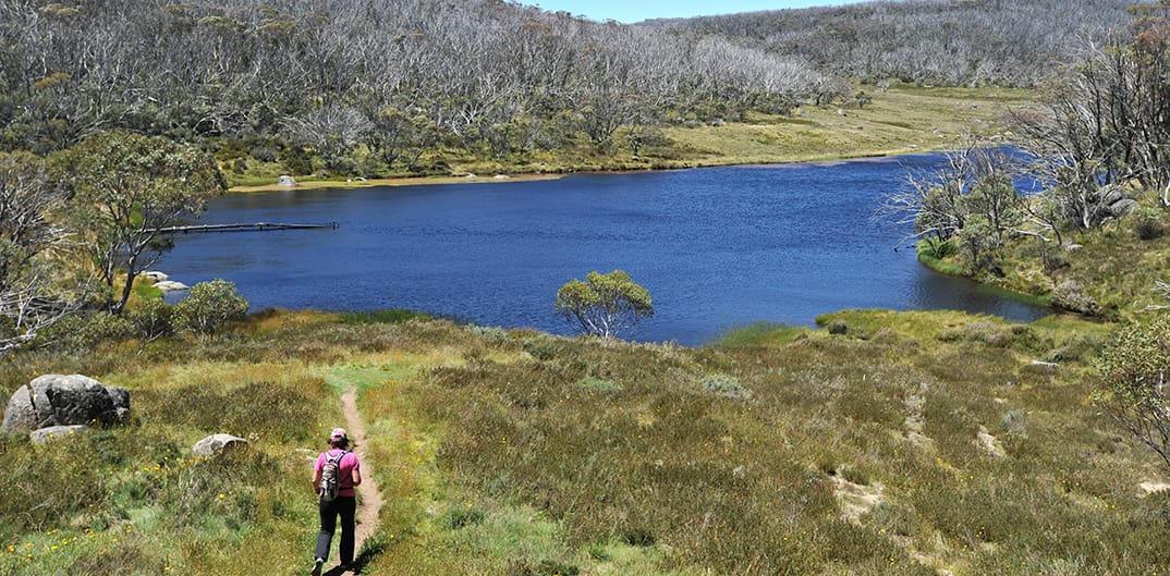 Easy 2.5 km return walk to Rainbow Lake