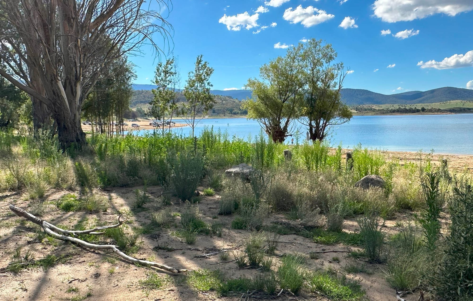 Not an inviting scene for people on the lake foreshore.