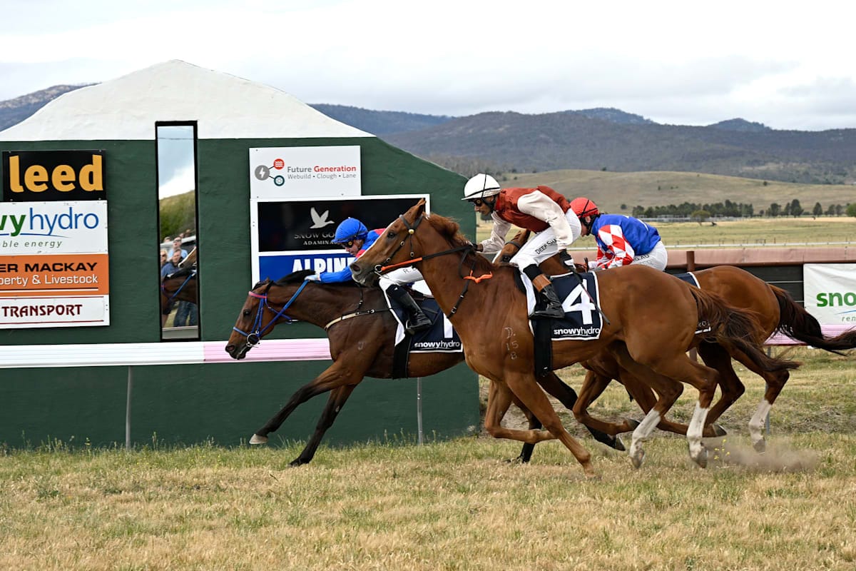Adaminaby Races Family Affair