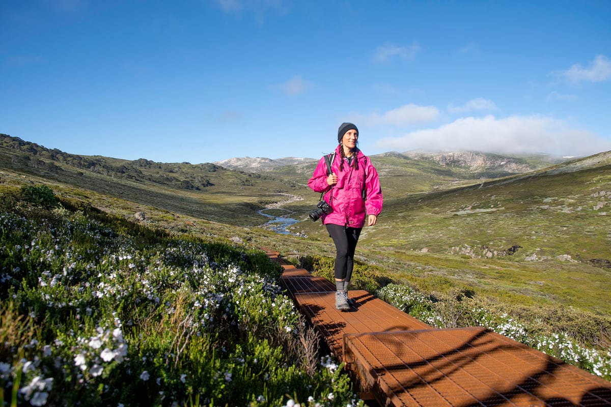 Snowies Alpine Walk - Charlotte Pass to Guthega Post feature image