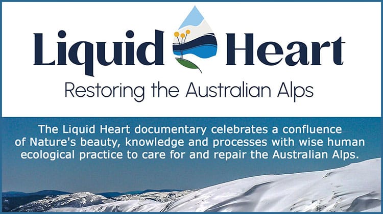 Jindabyne Movie - Liquid Heart - Restoring the Australian Alps Post feature image