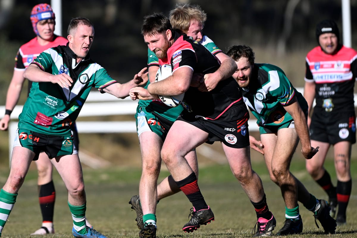 Bears succumb to Devils' pressure Post feature image