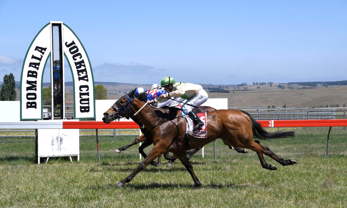 Trifecta of Snowy Monaro races Post feature image