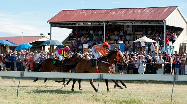 Adaminaby Races Post feature image