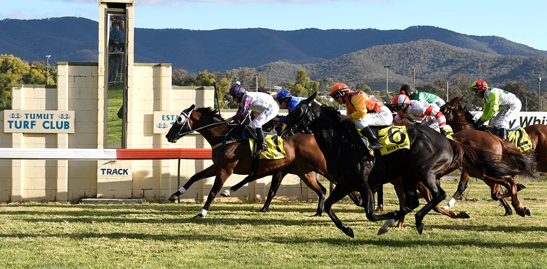 Tumut Races Tumut Cup Post feature image
