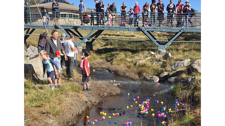 Perisher - Easter Saturday Duck Race 2023 Post feature image