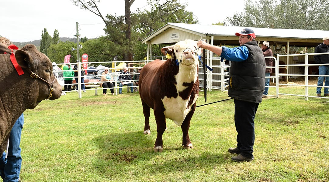 Additional Funding for Cooma Showground Post feature image