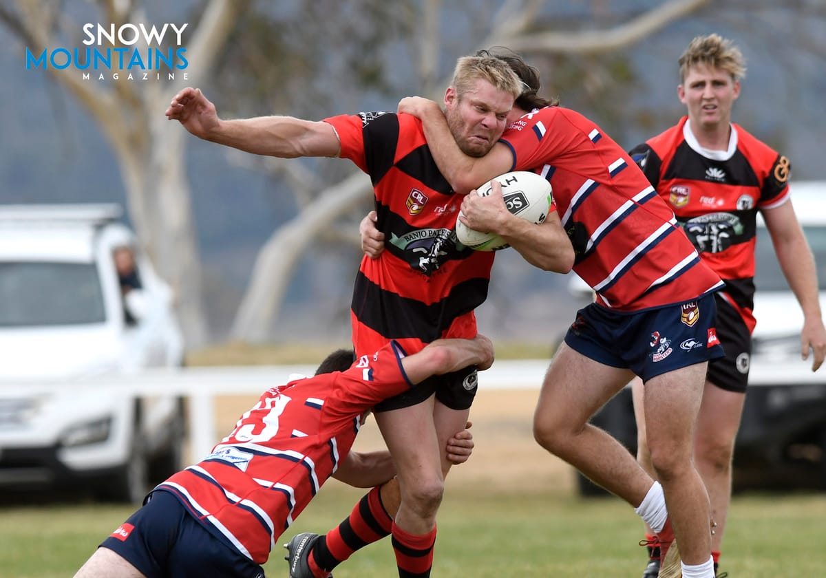 Bear Park Tames Bega Post feature image