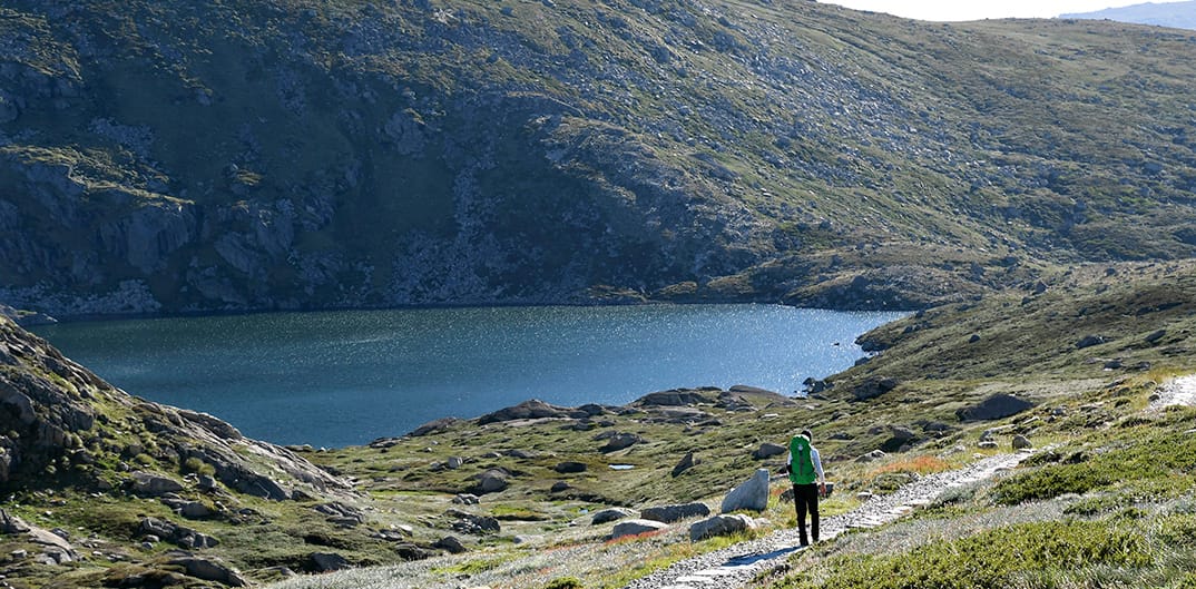 Blue Lake & Main Range Track Post feature image