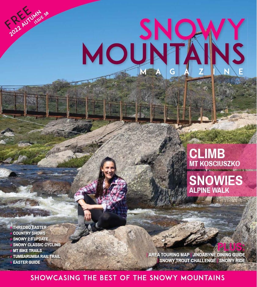 2022 Autumn Edition Post feature image