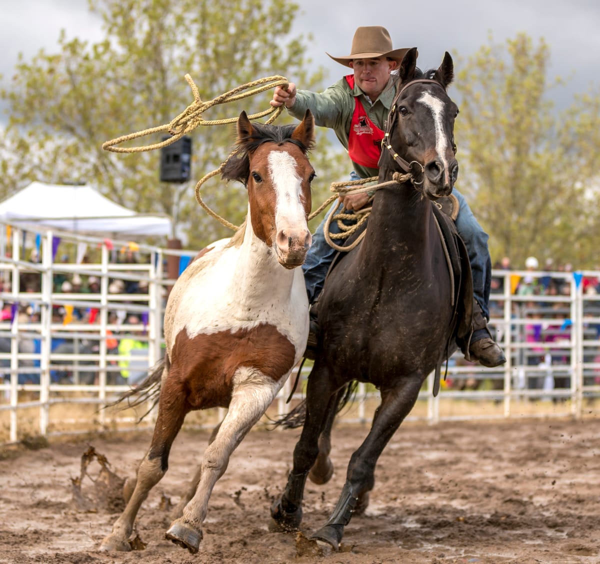 Legendary Showcase of Bush Life Post feature image