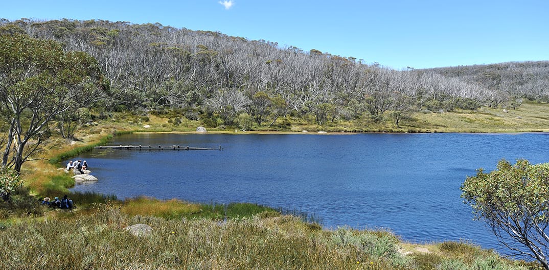 Rainbow Lake Post feature image