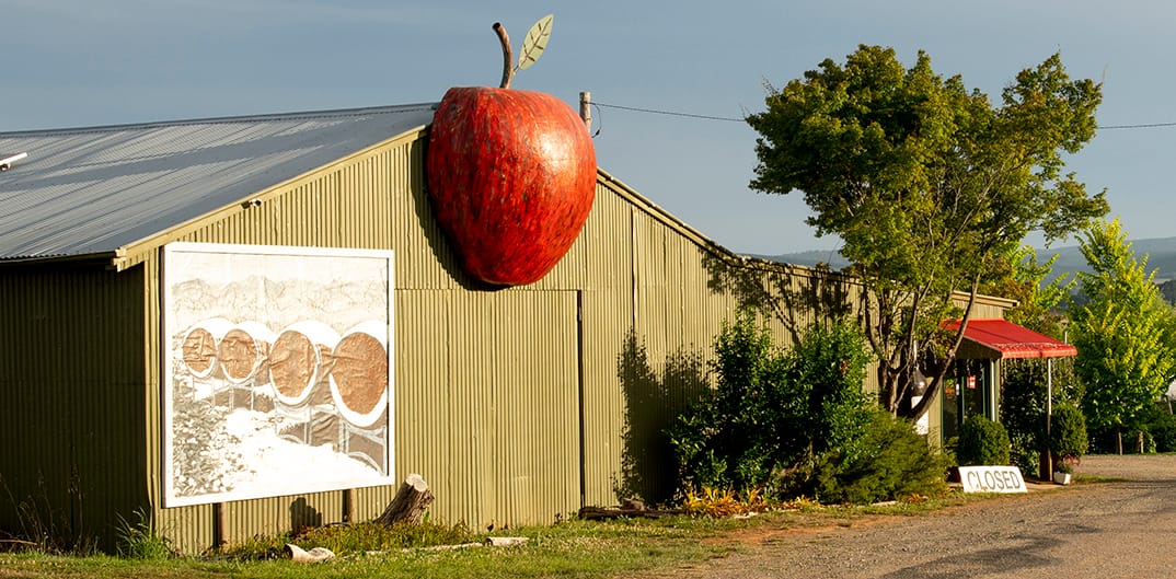 Adelong - Batlow Post feature image
