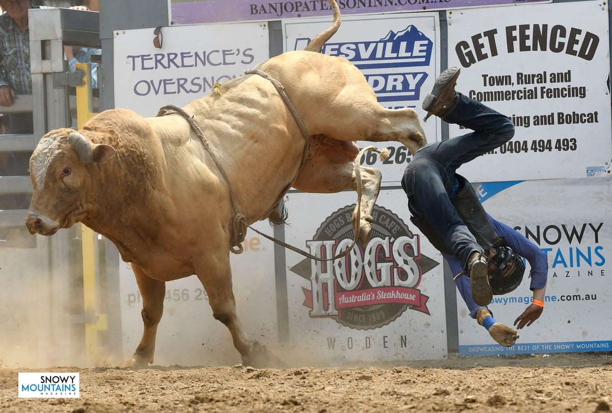 Jindabyne Rodeo Results Post feature image