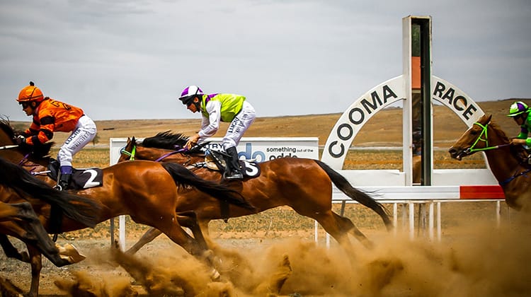 Cooma Races - 30th Sundowners Cup Post feature image