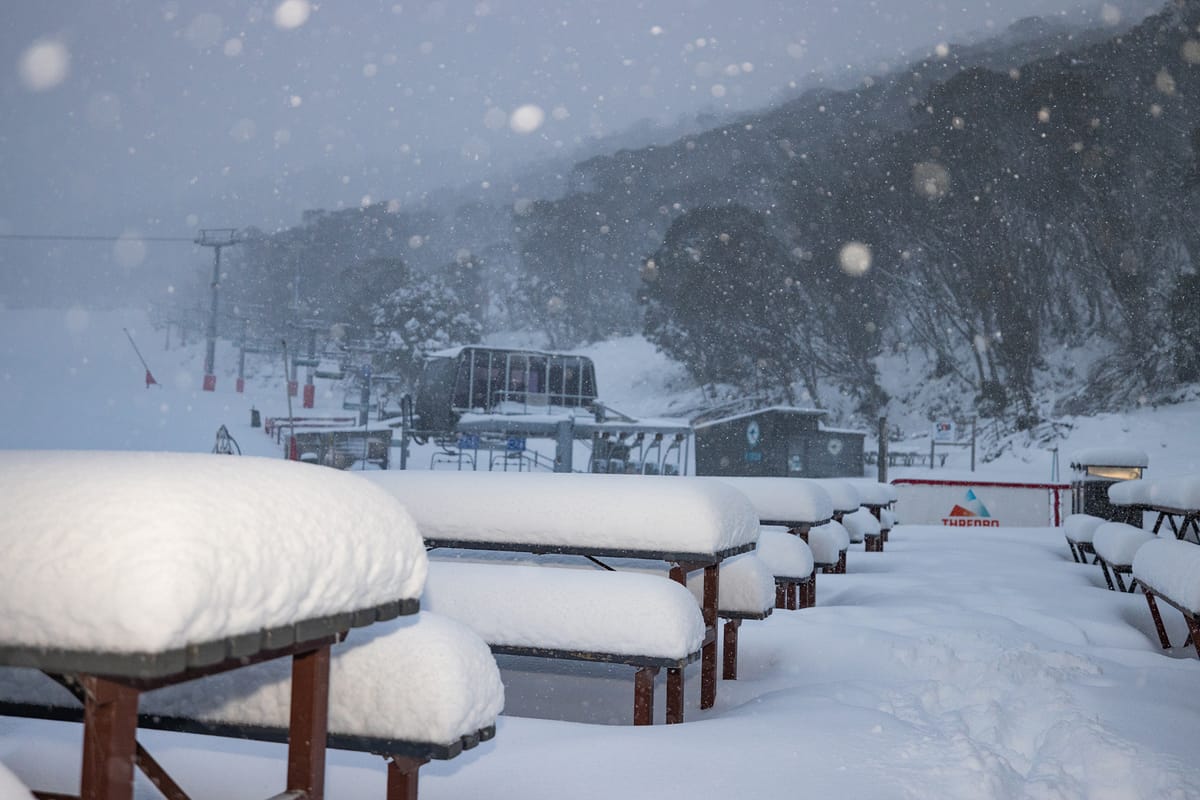 Thredbo to open with best start in decades Post feature image