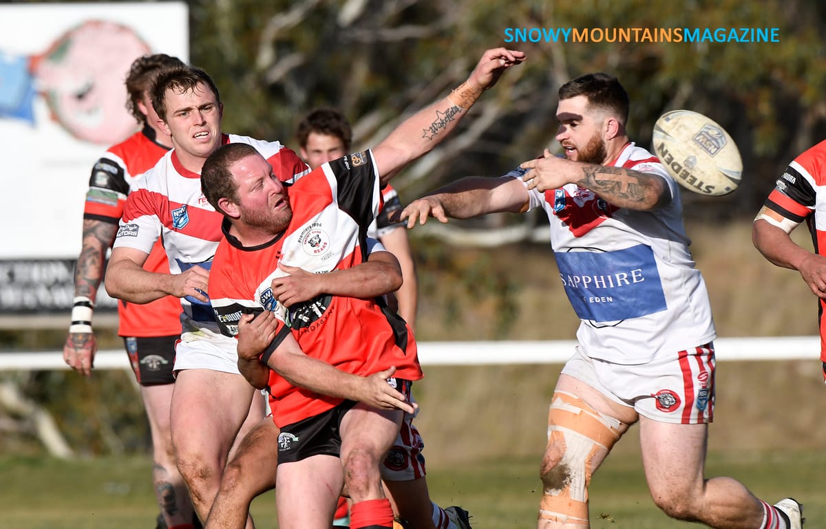 Bears too Strong for Tigers in Heritage Round Post feature image