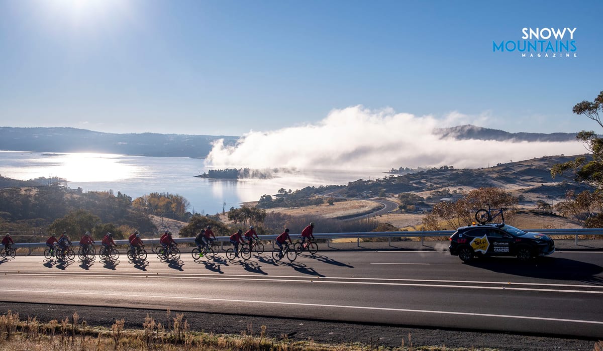 Tour de Cure $50 million Post feature image