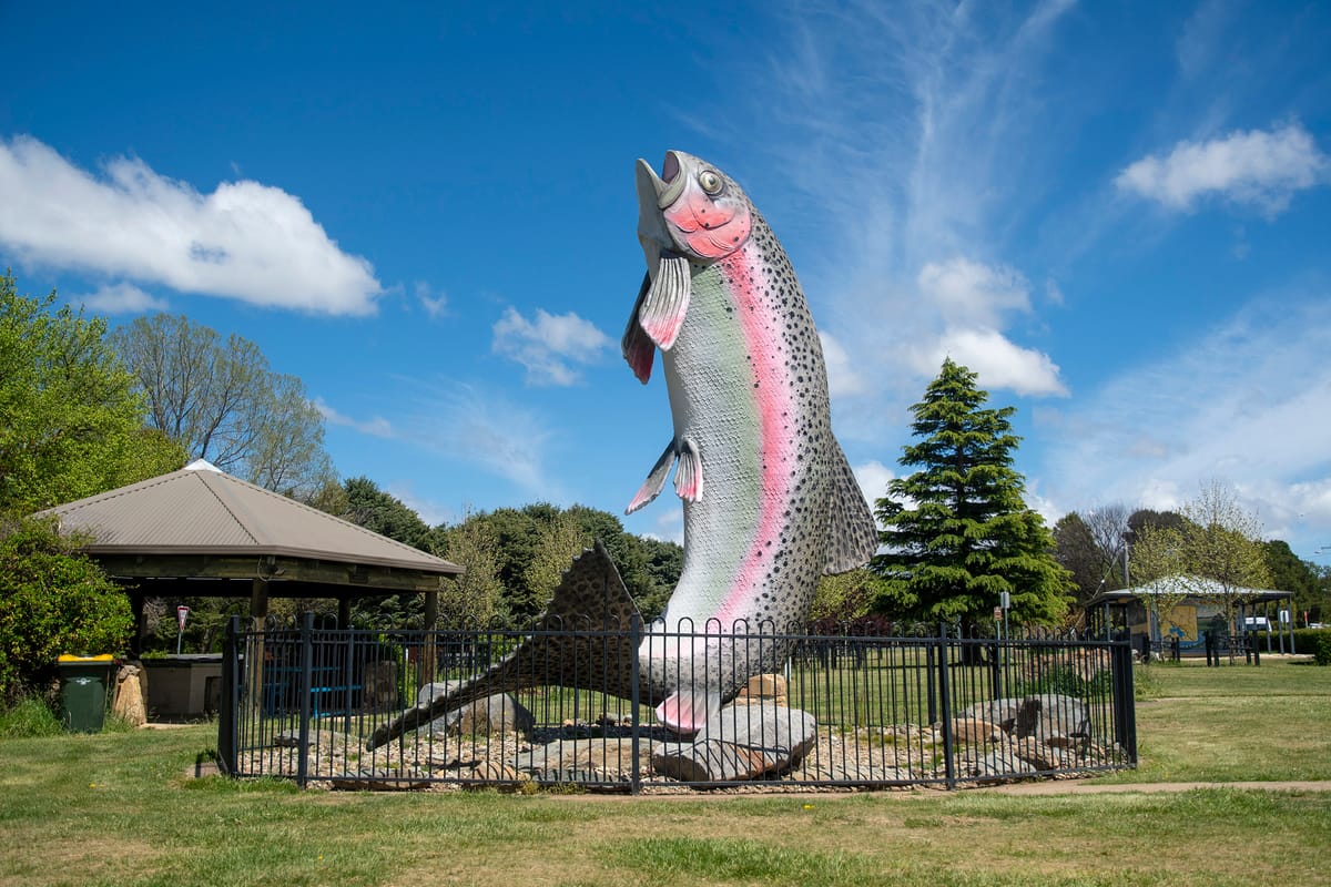 Adaminaby - Lake Eucumbene Post feature image