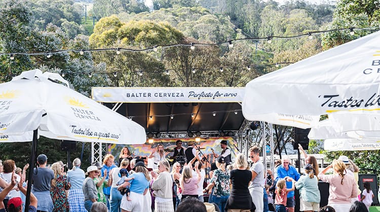 Thredbo Music Series - Thrillhouse Post feature image
