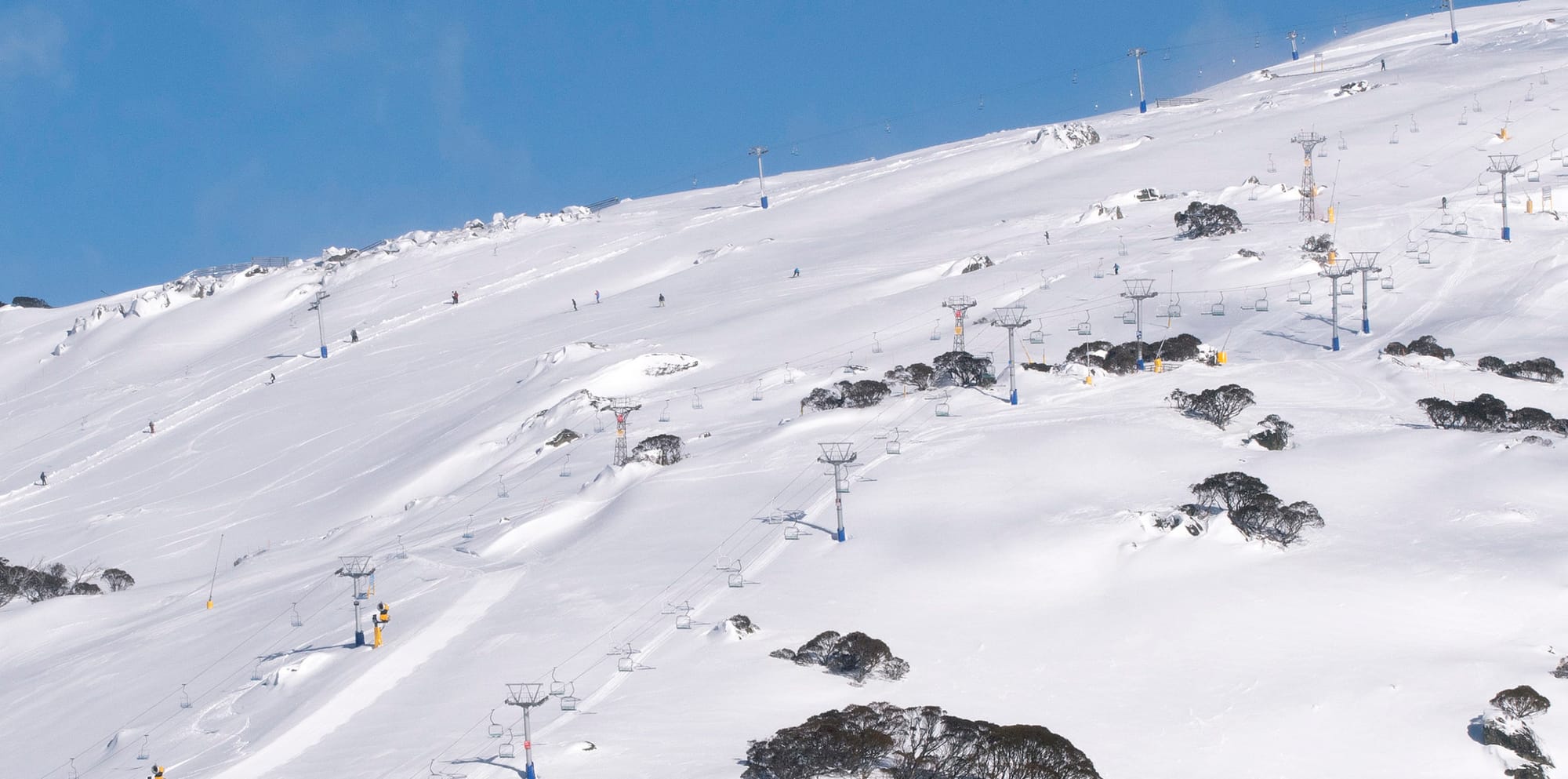 Perisher - Peter Brulisauer Interview Post image