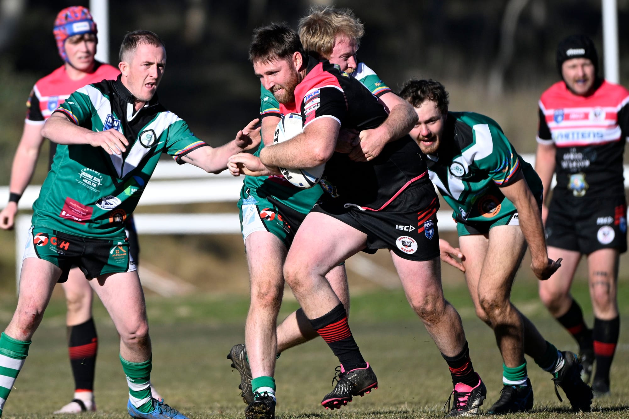 Bears succumb to Devils' pressure Post image