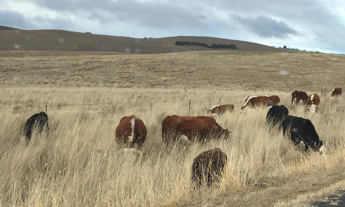 Support Farmers Right to Farm Post image