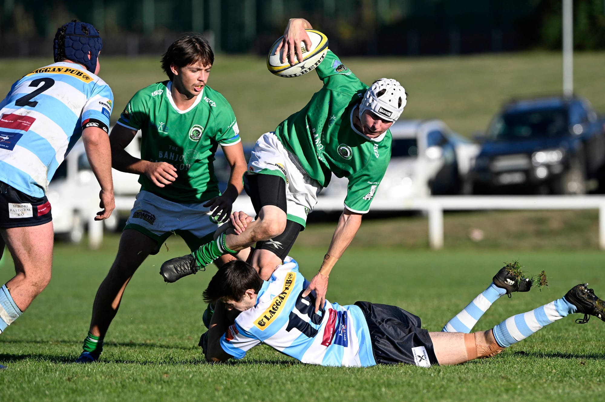 Bushpigs fight Dogs to the very end Post image