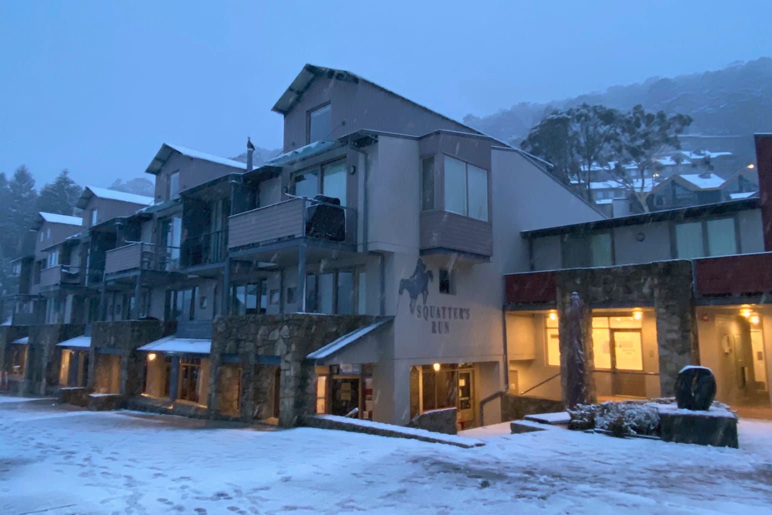 Snow Storm Arrives Post image