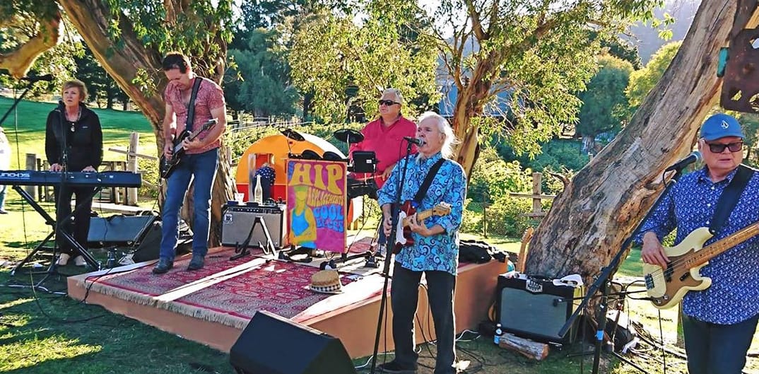 Easter Friday Wildbrumby Post image