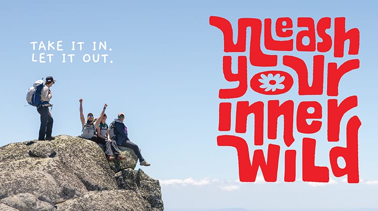 Thredbo Summer - Unleash Your Inner Wild Post image