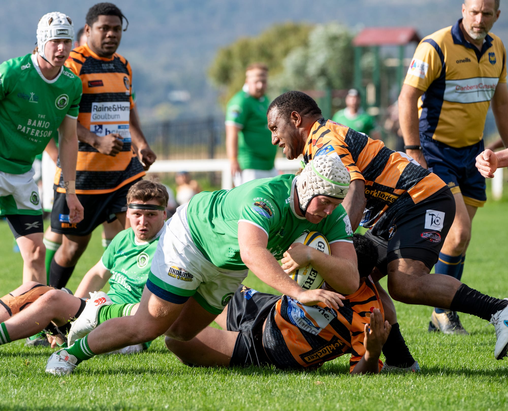 Bushpigs V Taralga photo gallery Post image