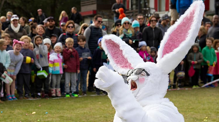 Easter Thredbo Adventure Cranival Post image