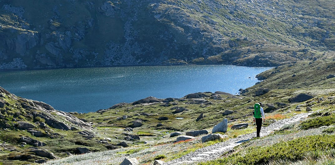 Blue Lake Track Post image