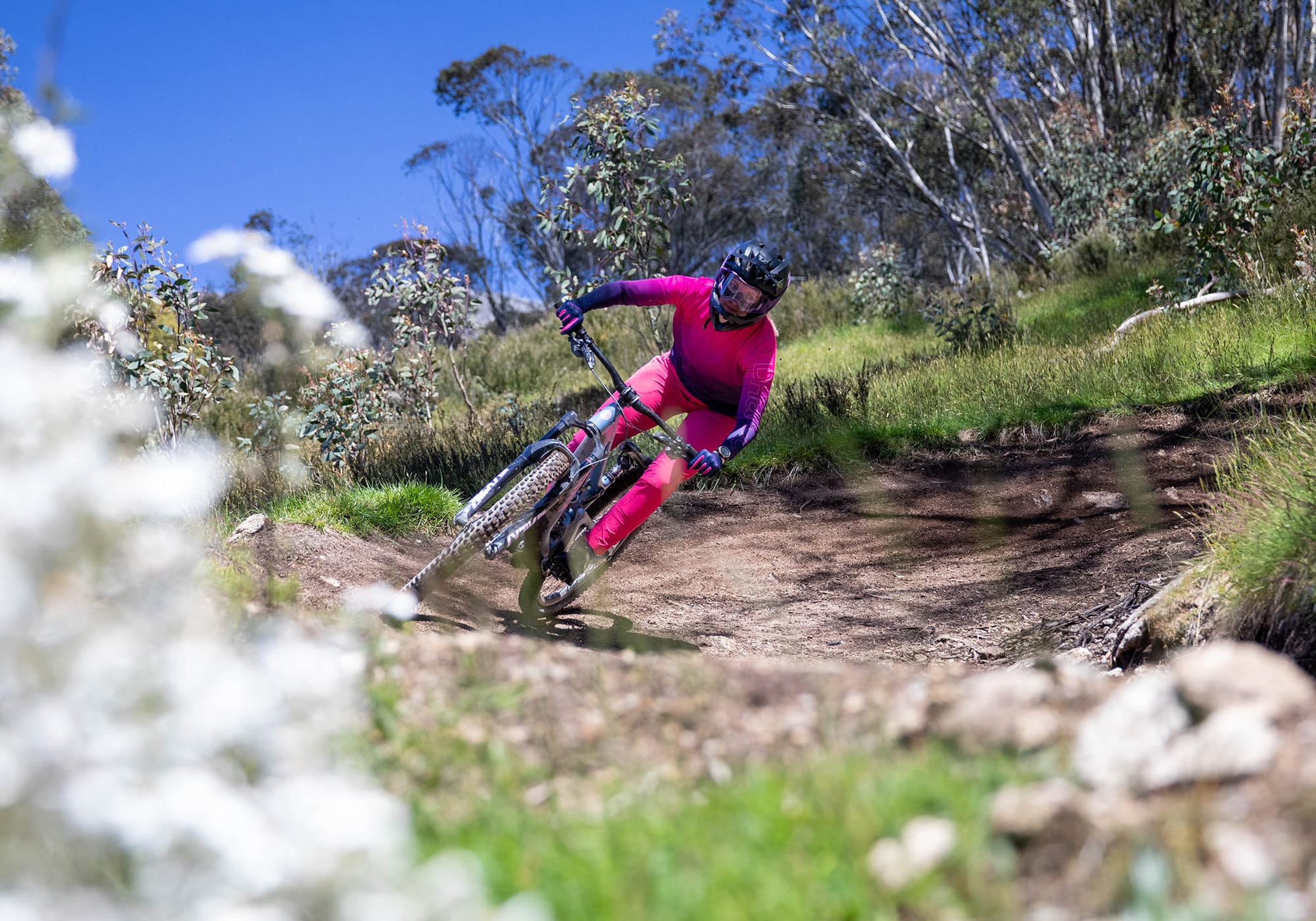 Mountain Biking Season Opens At Thredbo This Weekend Post image