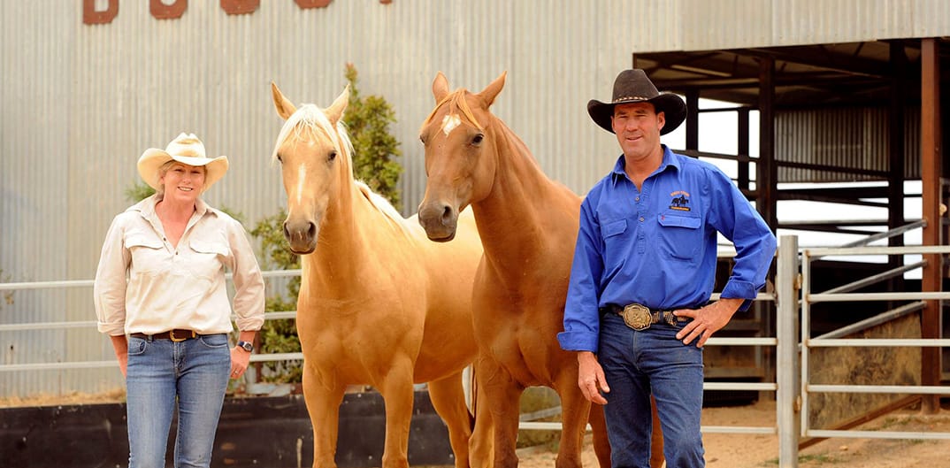 2 Day Horseman & Cattle Handling Clinic Post image