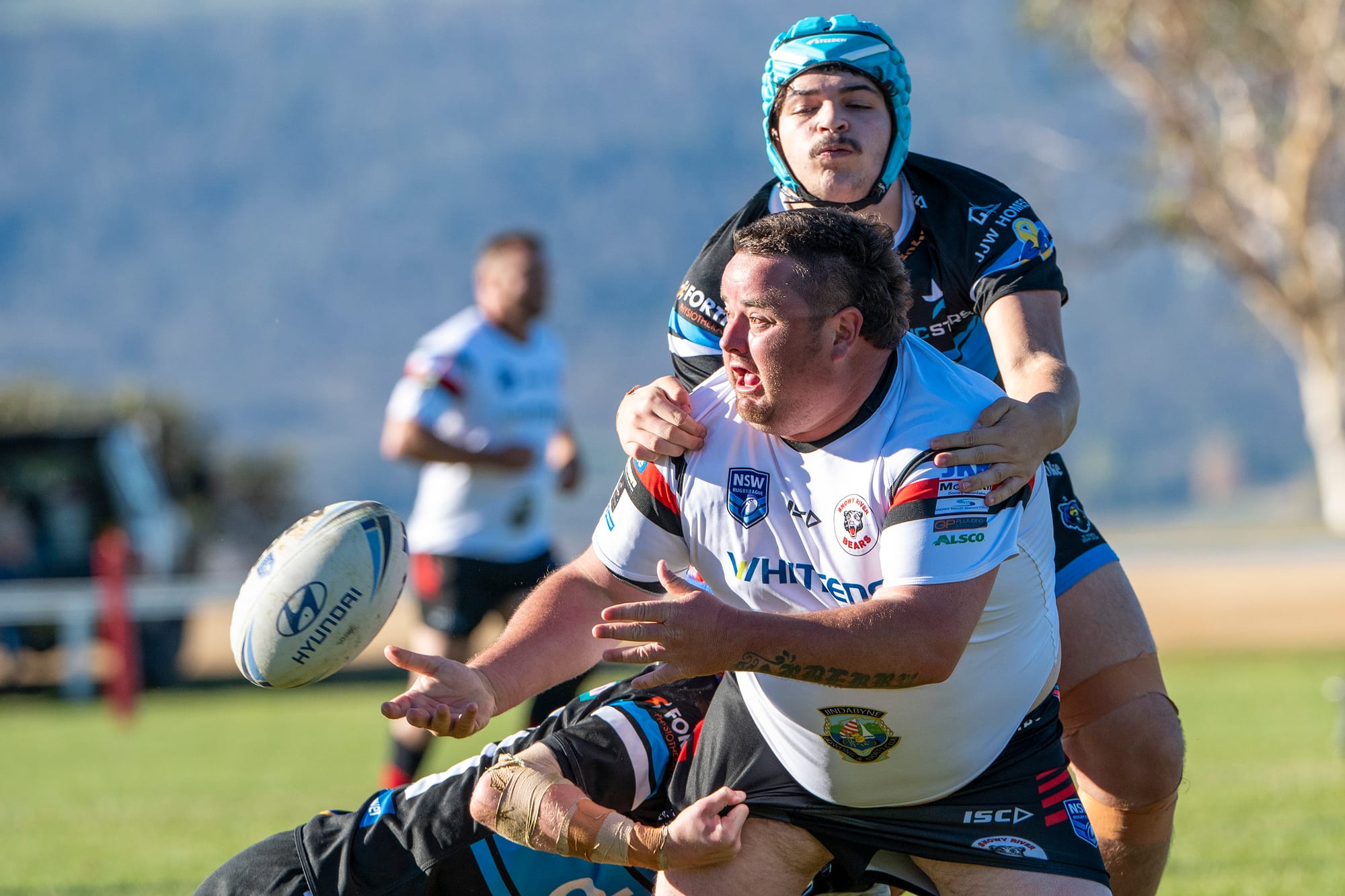 Bears roar for first home wins of the season Post image