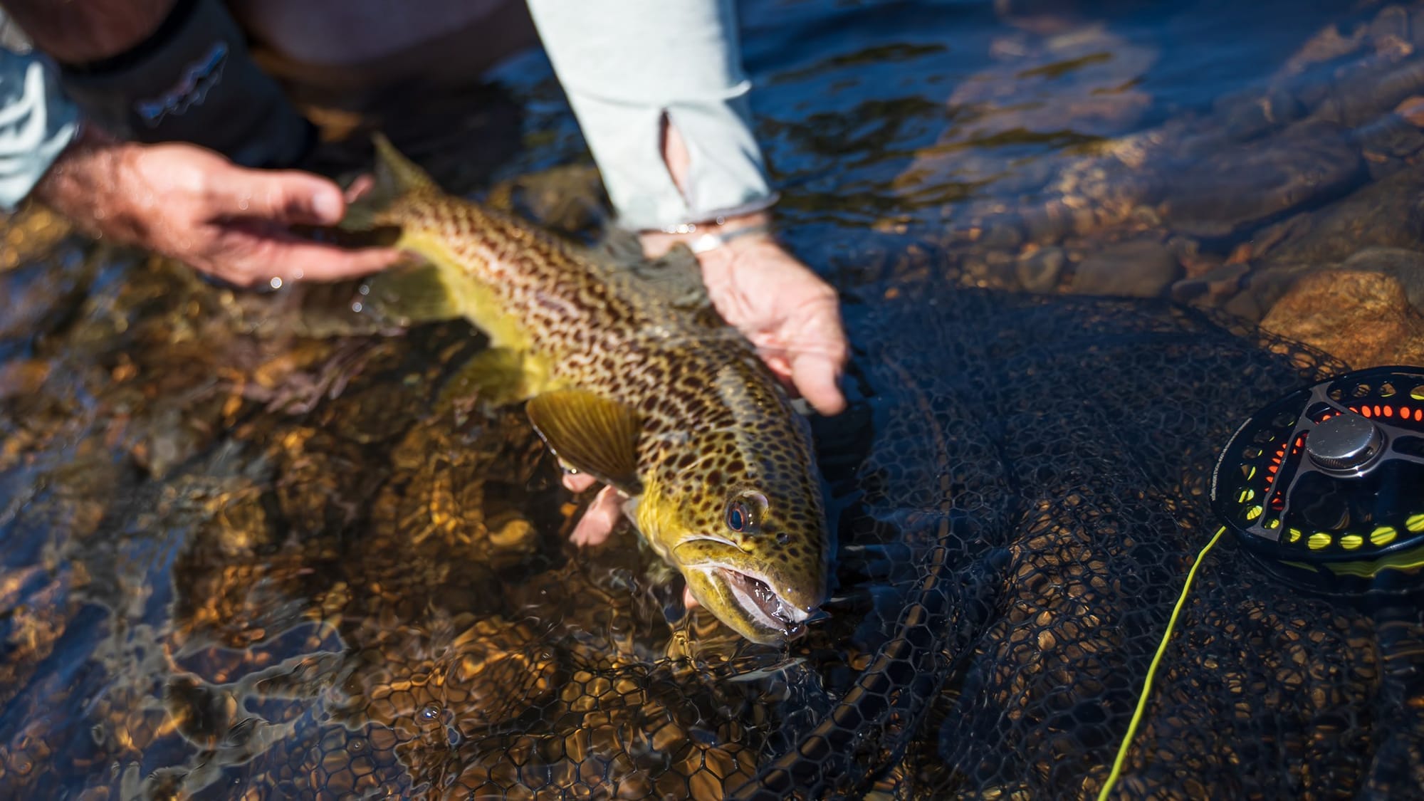 The Joy of Fly Fishing Post image