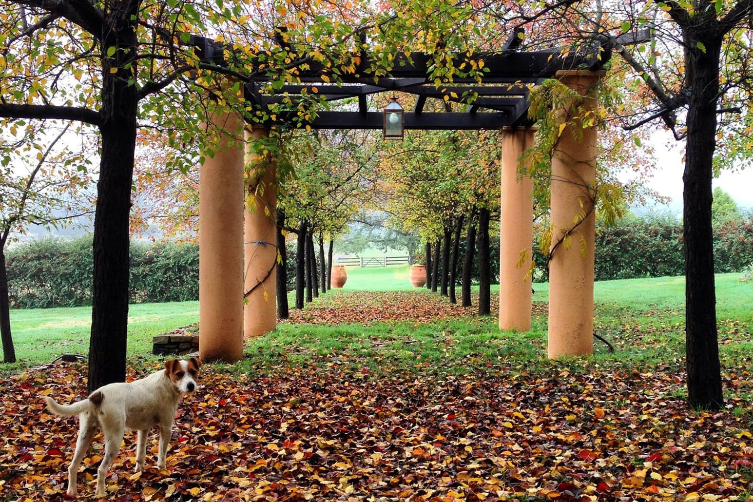 Private Gardens of the Monaro Self Drive Tour Post image