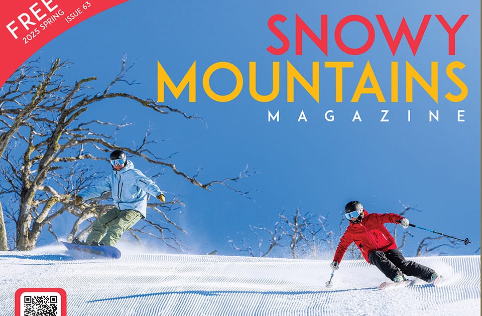 Publications Post image