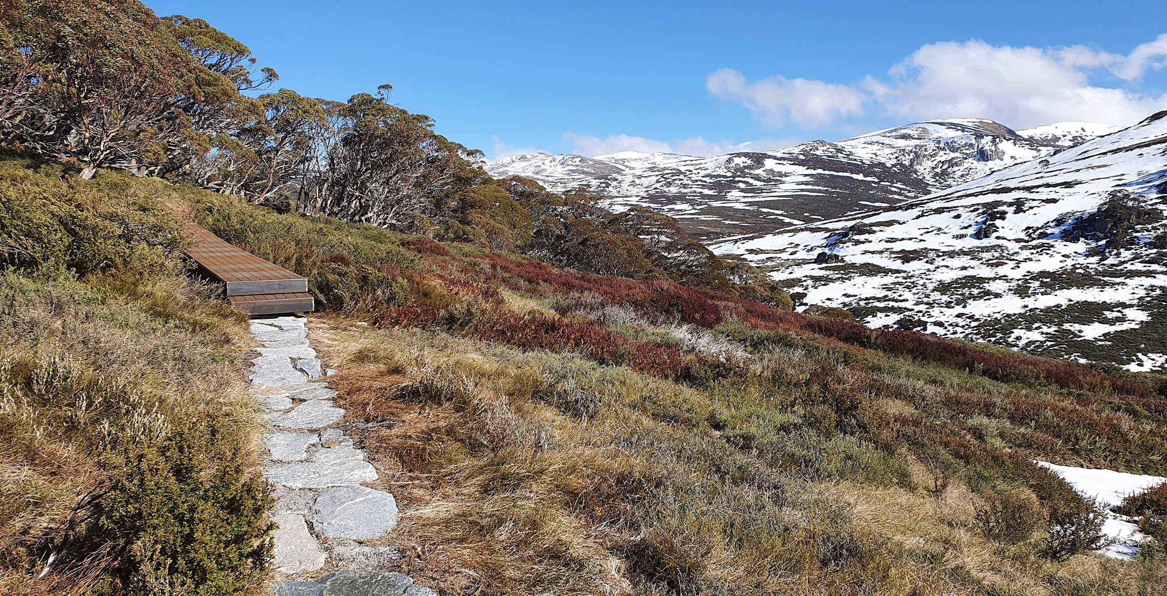 Snowies Iconic Walk Update Post feature image