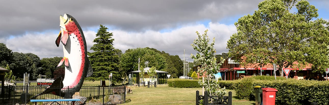 NSW: Adaminaby - Lake Eucumbene Page image