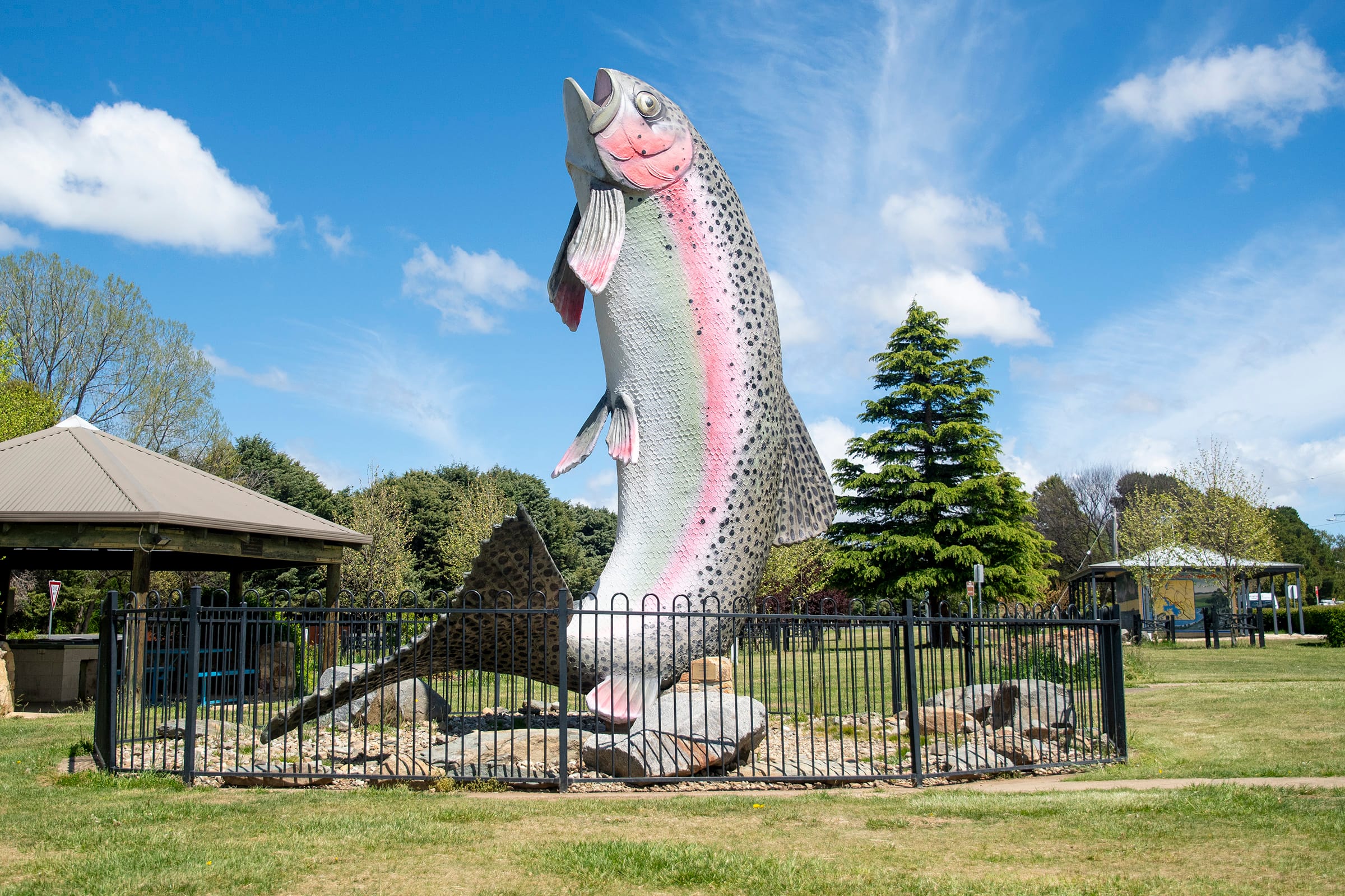 NSW: Adaminaby - Lake Eucumbene Page image