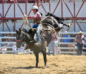 Legendary Jindabyne Rodeo Post feature image